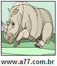 Animal Rinoceronte