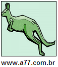 Animal Canguru