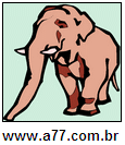 Animal Elefante