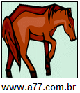 Animal Cavalo