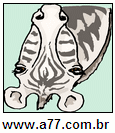 Cruzadinha Zebra