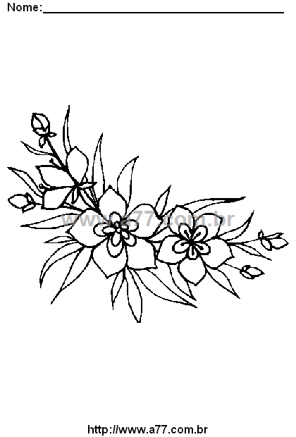 Desenho Para Colorir Flores