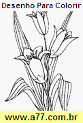 Separar silabas flor