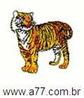 Dicionário Ilustrado Tigre