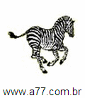 Dicionário Ilustrado Zebra