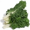 Acelga Verde
