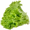 Alface Crespa