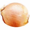 Cebola