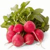 Rabanete Vermelho