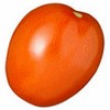 Tomate para Salada