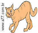 Gato