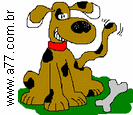 Cachorro