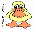 Pato