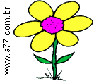 Flor