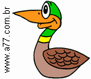 Pato