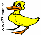 Pato