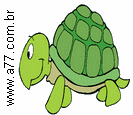 Tartaruga