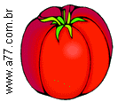 Tomate