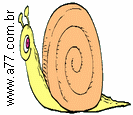 Caracol