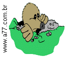 Marmota