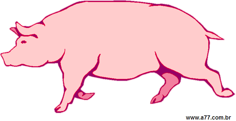 Clipart Animais