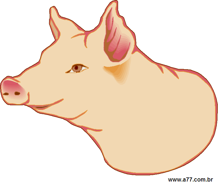 Clipart Animais