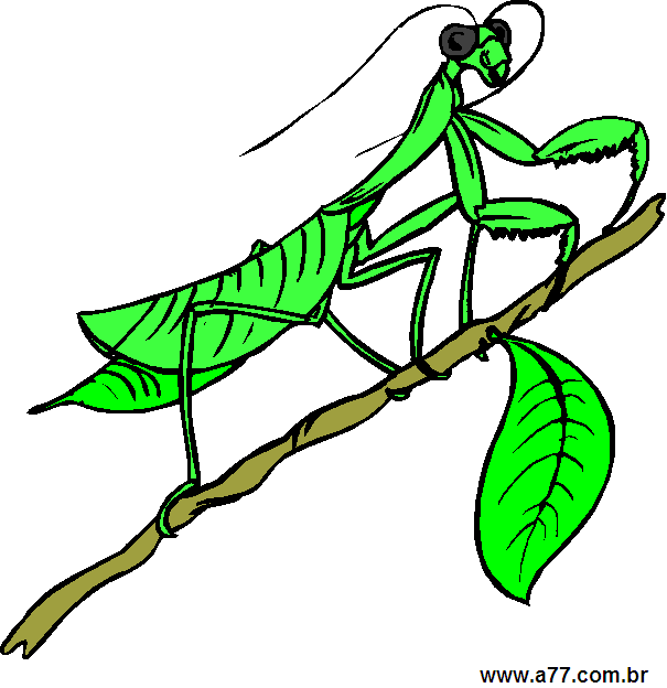 Clipart Animais