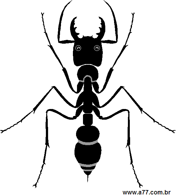 Clipart Animais
