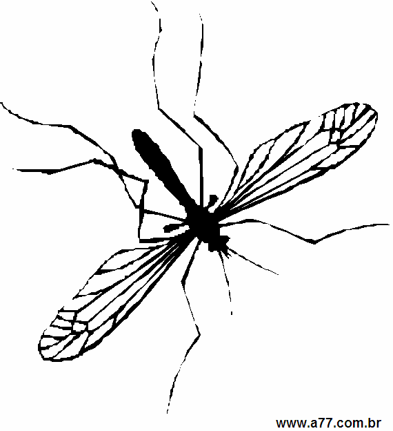 Clipart Animais