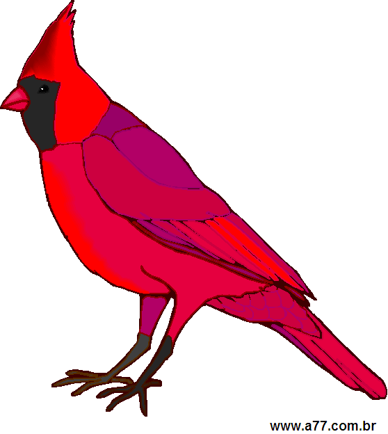 Clipart Animais