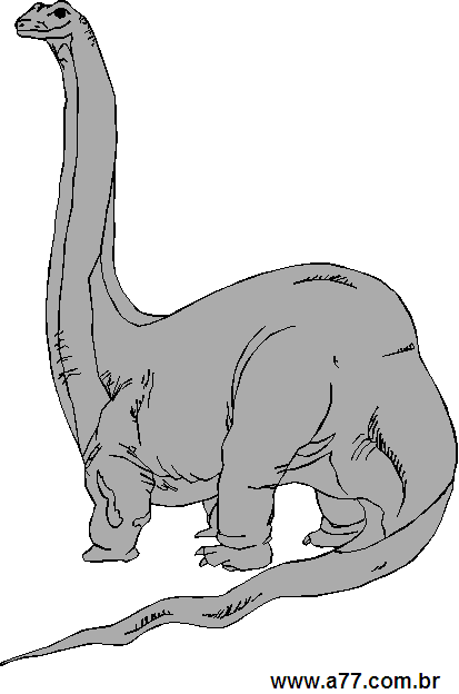 Clipart Animais