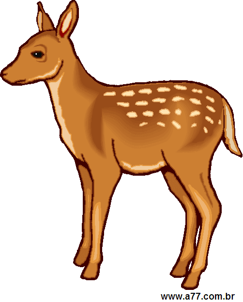 Clipart Animais