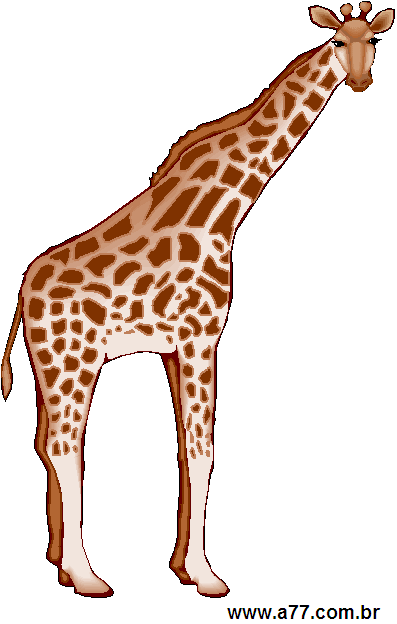 Clipart Animais