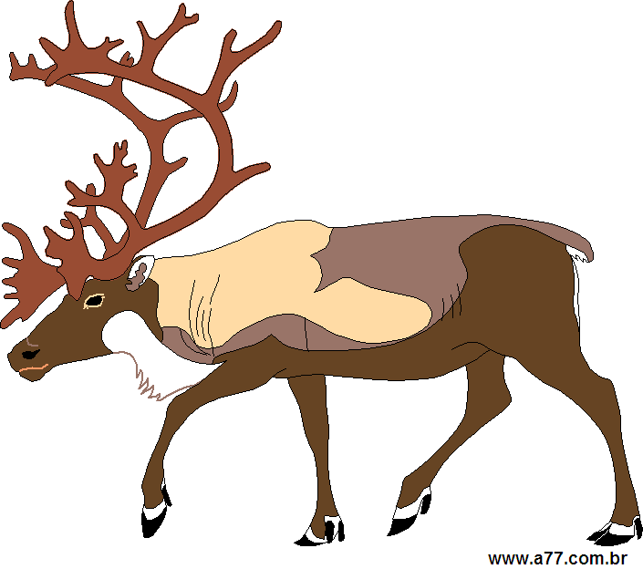 Clipart Animais