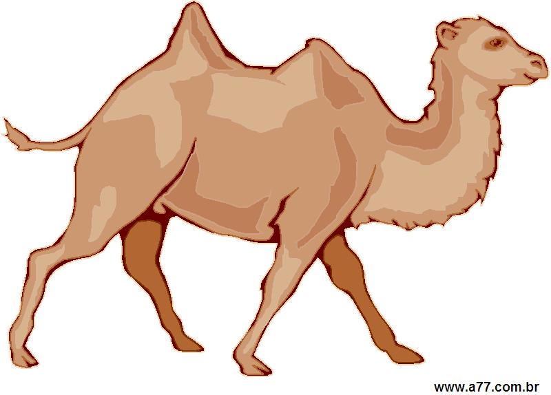 Clipart Animais