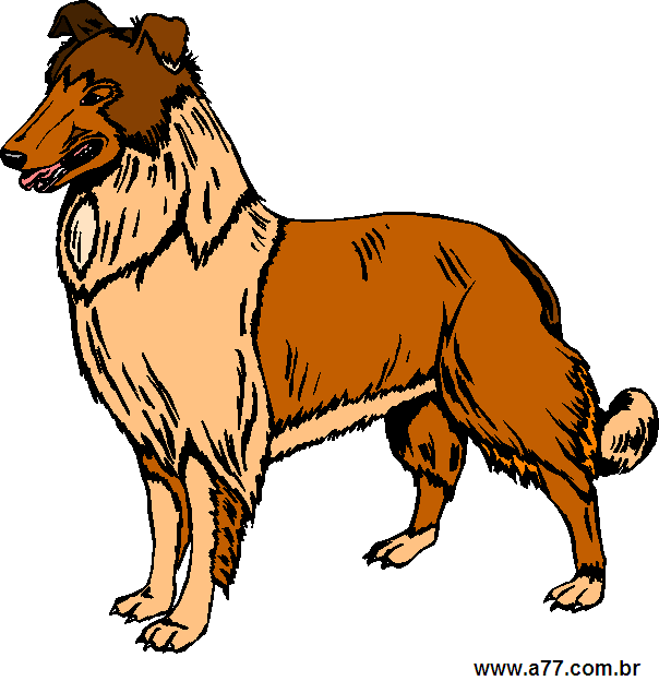 Clipart Animais