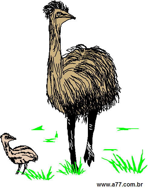 Clipart Animais