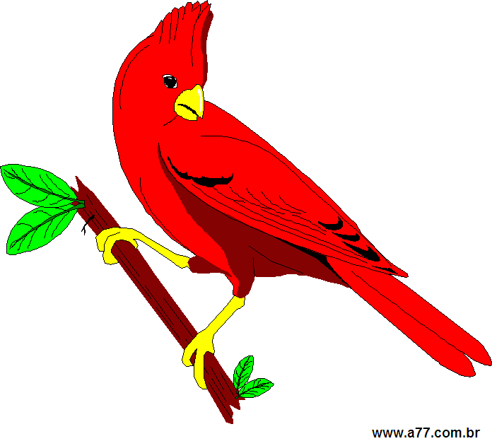Clipart Animais