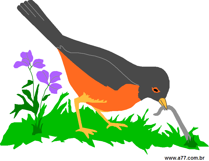 Clipart Animais