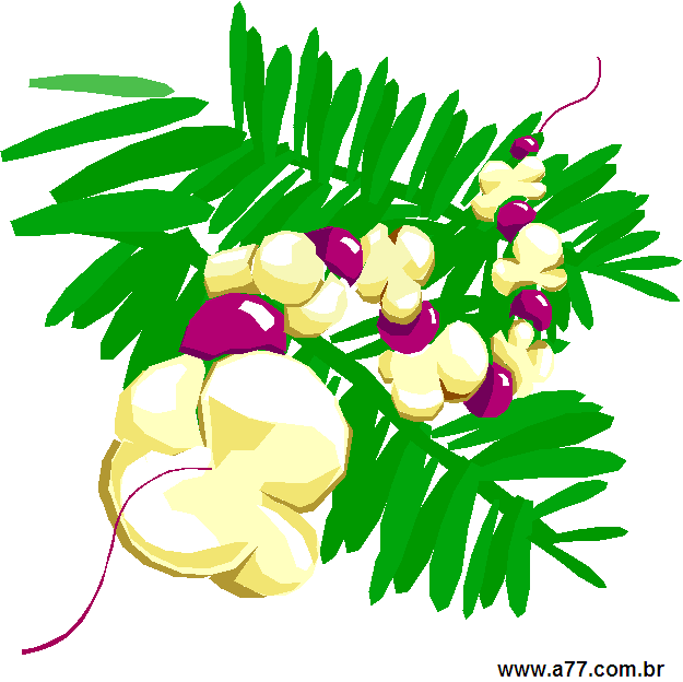 Clipart Natal