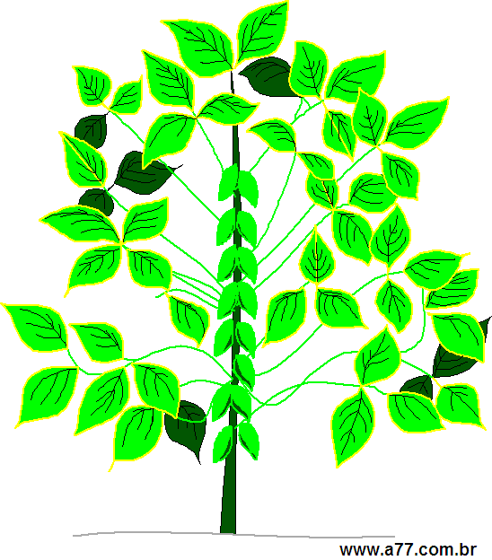 Clipart Natureza