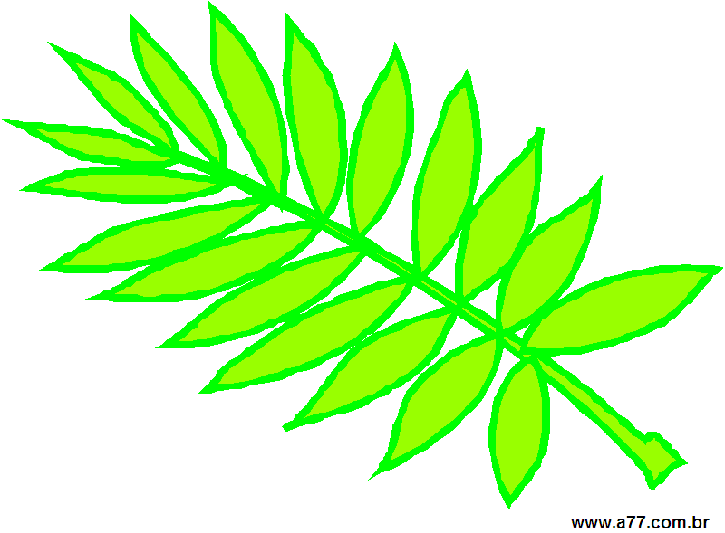 Clipart Natureza