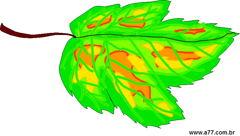 Clipart Natureza