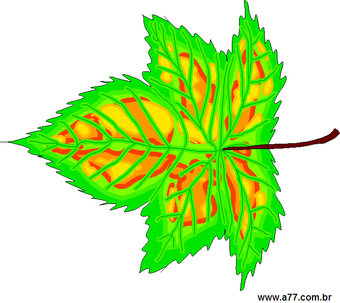 Clipart Natureza