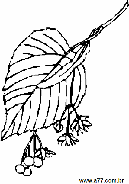 Clipart Natureza