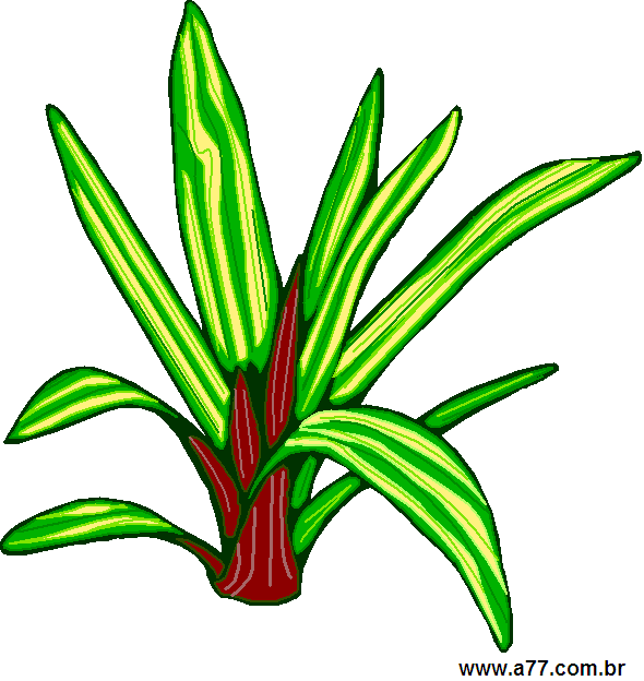 Clipart Natureza