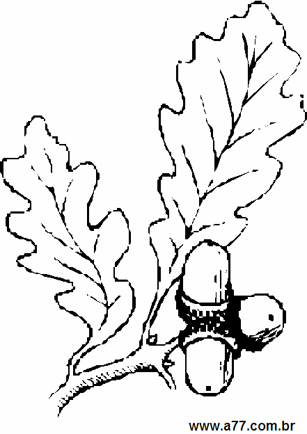 Clipart Natureza