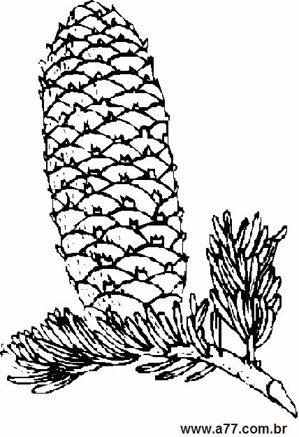 Clipart Natureza