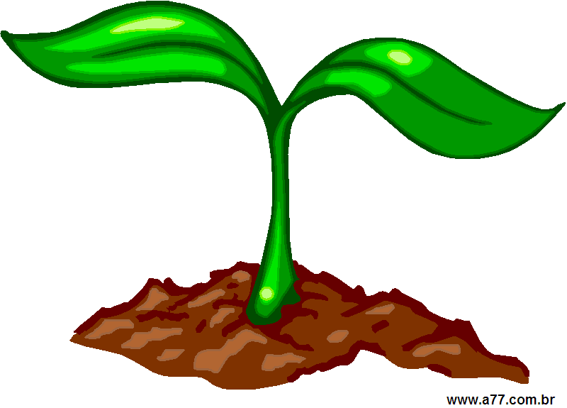 Clipart Natureza