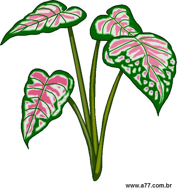 Clipart Natureza